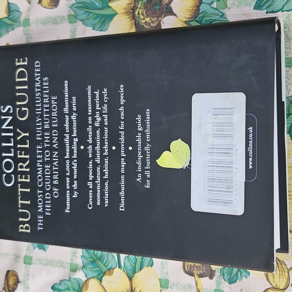 Collins Butterfly Guide - Picture 2 of 4